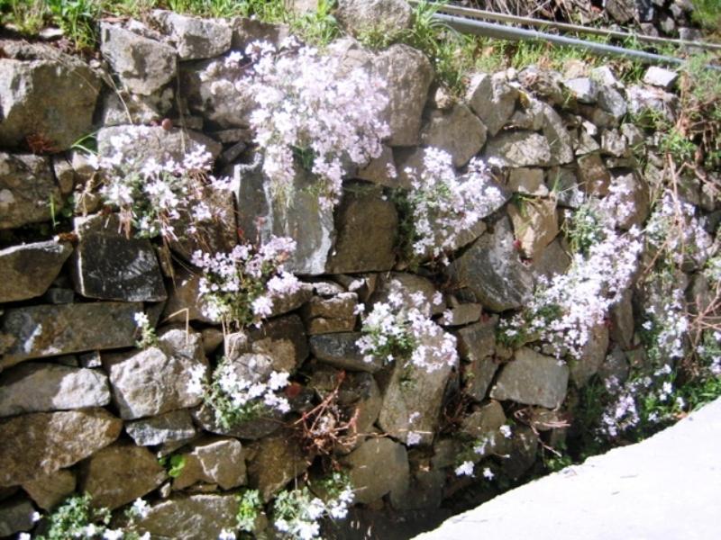 Вилла Flora'S House Spilia Экстерьер фото